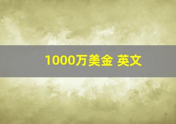 1000万美金 英文